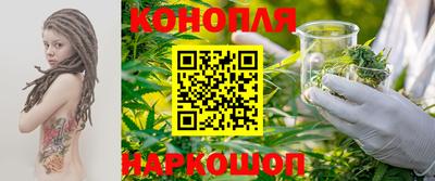 шишки Заволжье