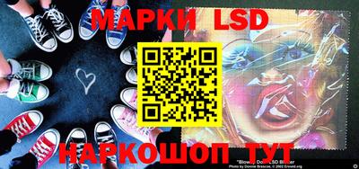 шишки Заволжье