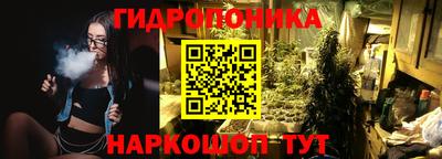шишки Заволжье