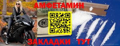 шишки Заволжье