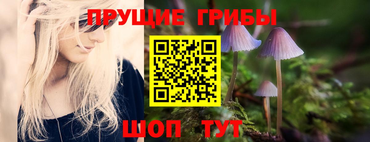 Псилоцибиновые грибы прущие грибы Малгобек